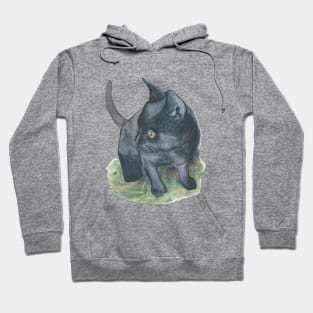 Black kitten Hoodie